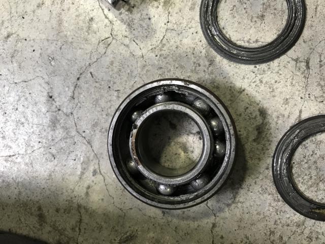 怖!の写真1