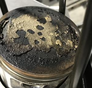 エボらしい？