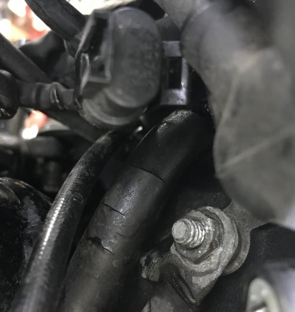 スポ/XRのオイルドレンホースの写真3