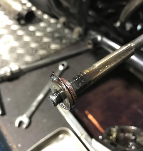 よく見よう⁉️の写真3