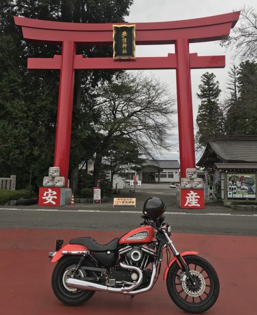 モツ煮の写真3