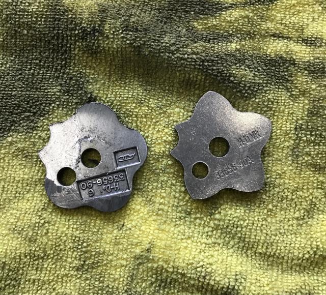 さくら散る?もみじ舞う?の写真1