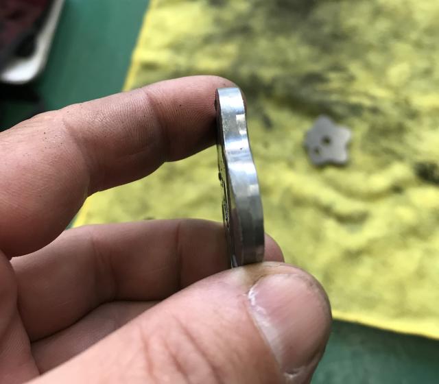 さくら散る?もみじ舞う?の写真4