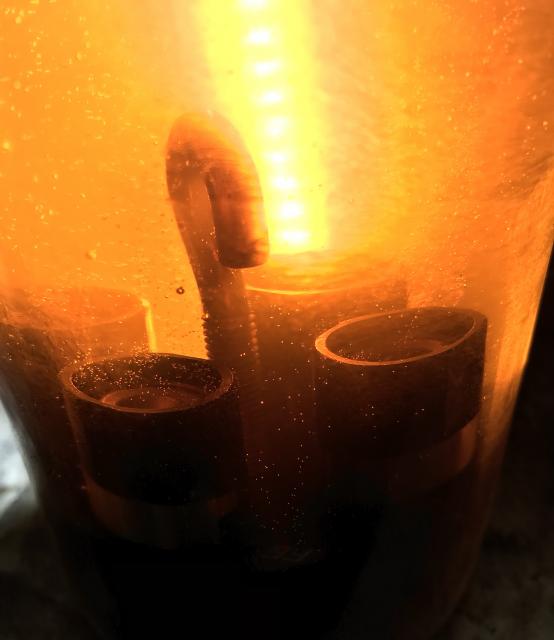 カチカチの写真9