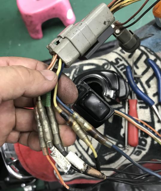 突然に…の写真3