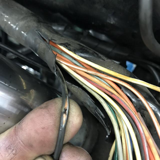 突然に…の写真4