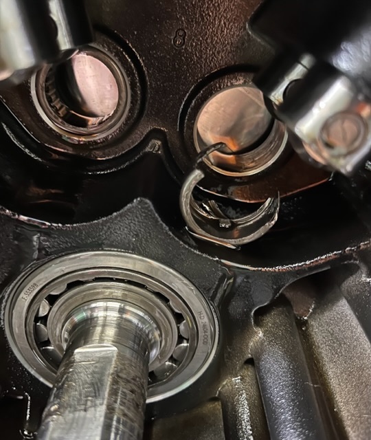 ガリガリ君の写真2