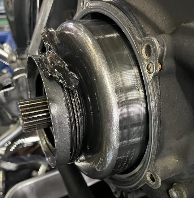 飛び出し注意‼️の写真2