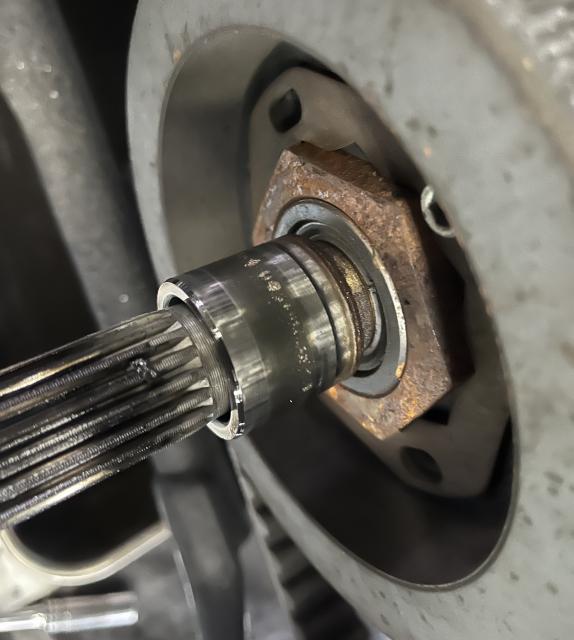 飛び出し注意‼️の写真3