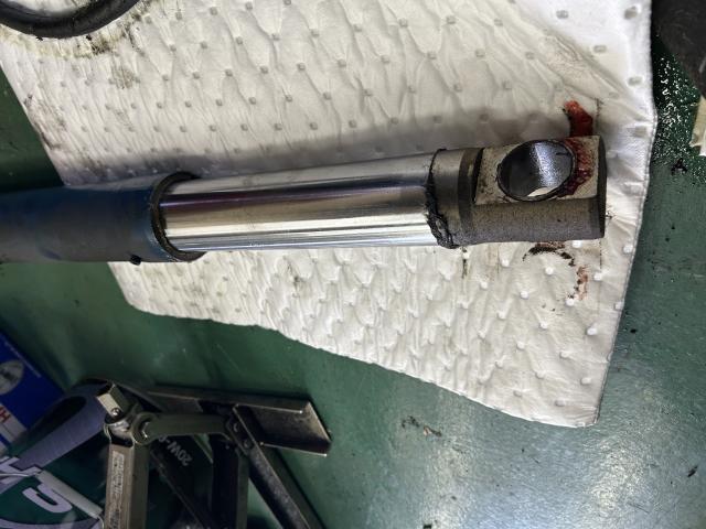 ナスバムの写真2