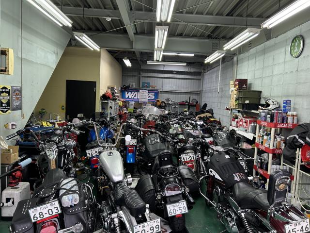 ツンツルいっぱいの写真1