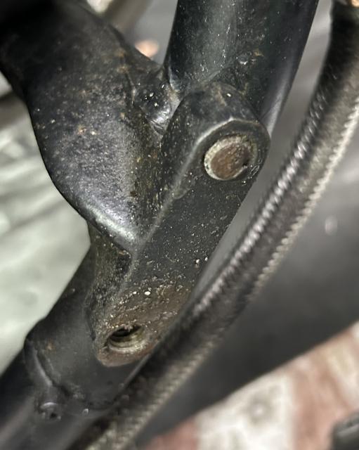 あるあるの写真3