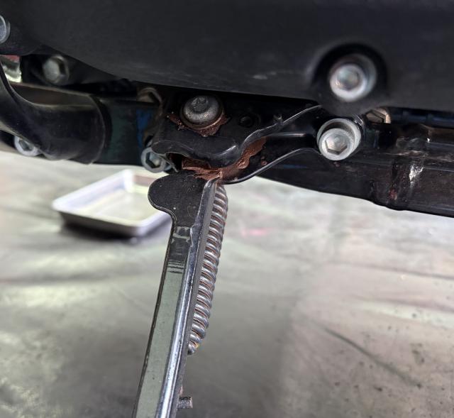 チャンとねの写真1